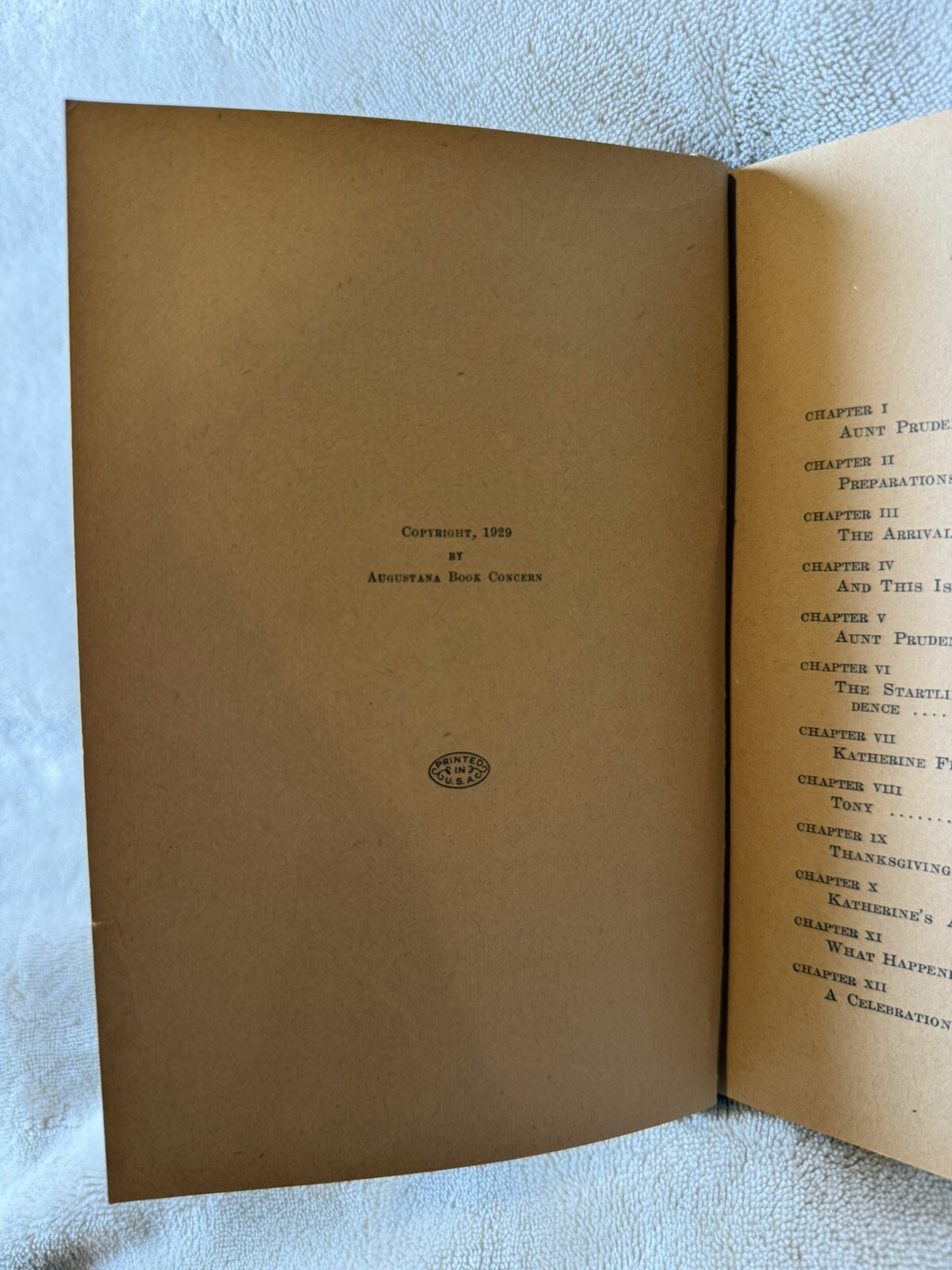 1929 Silver Linings by Nola Theesfeld Hardcover Book