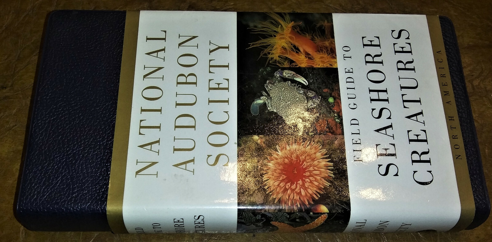 Audubon Society Marine Life Seashells Conchology Seashore Creatures 2 Volumes