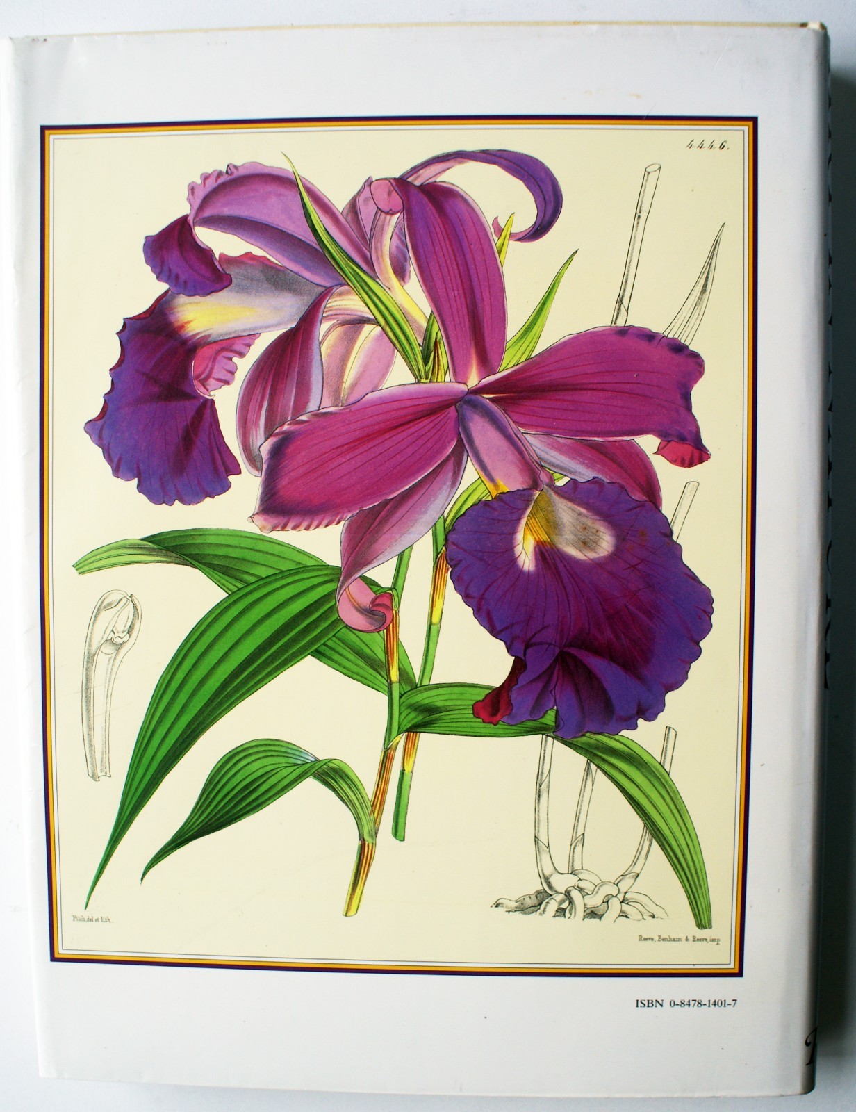 ART IN NATURE: Classical Botanical Prints from 18th to 20th Century HC DJ [285]