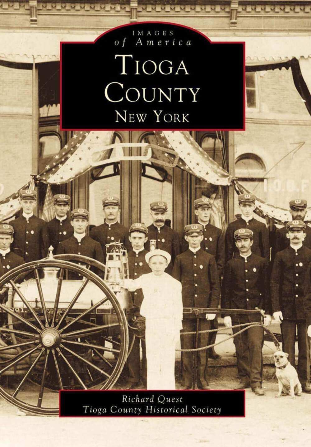 NEW Arcadia Publishing Tioga County, New York, NY 9780738502878 Images of Americ