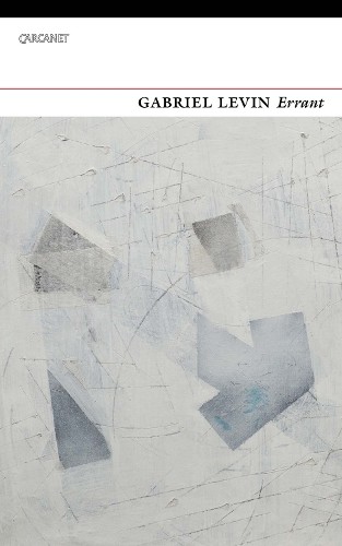 Errant by Gabriel Levin Paperback / softback Book The Fast Free Shipping