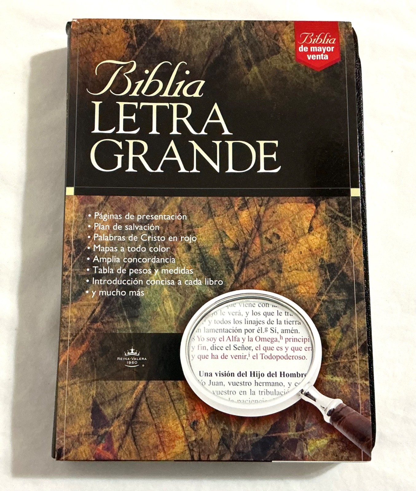 Biblia Letra Grande-RV 1960 by Rvr 1960- Reina Valera 1960: New
