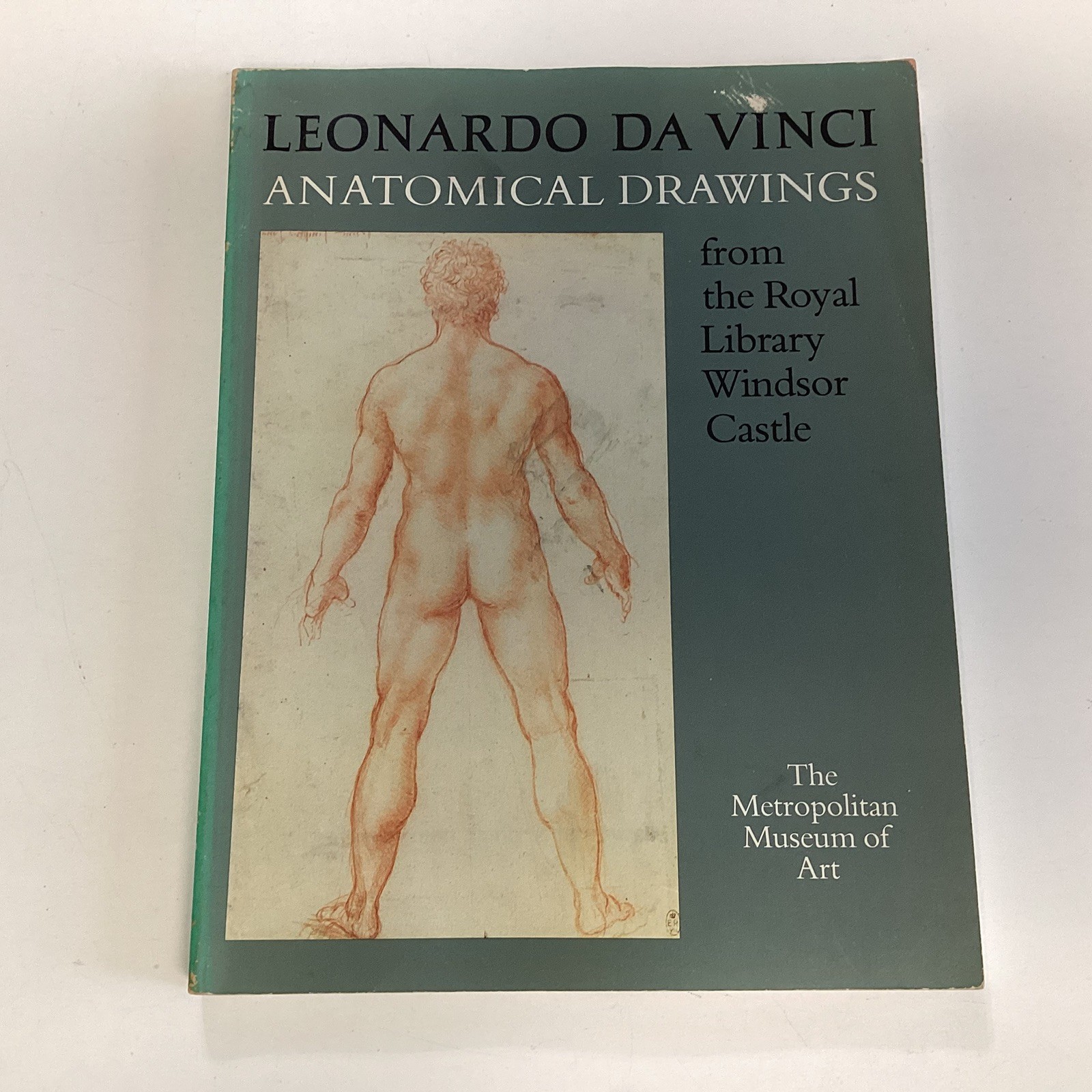 Leonardo Da Vinci Anatomical Drawings from the Royal Library Windsor Castle