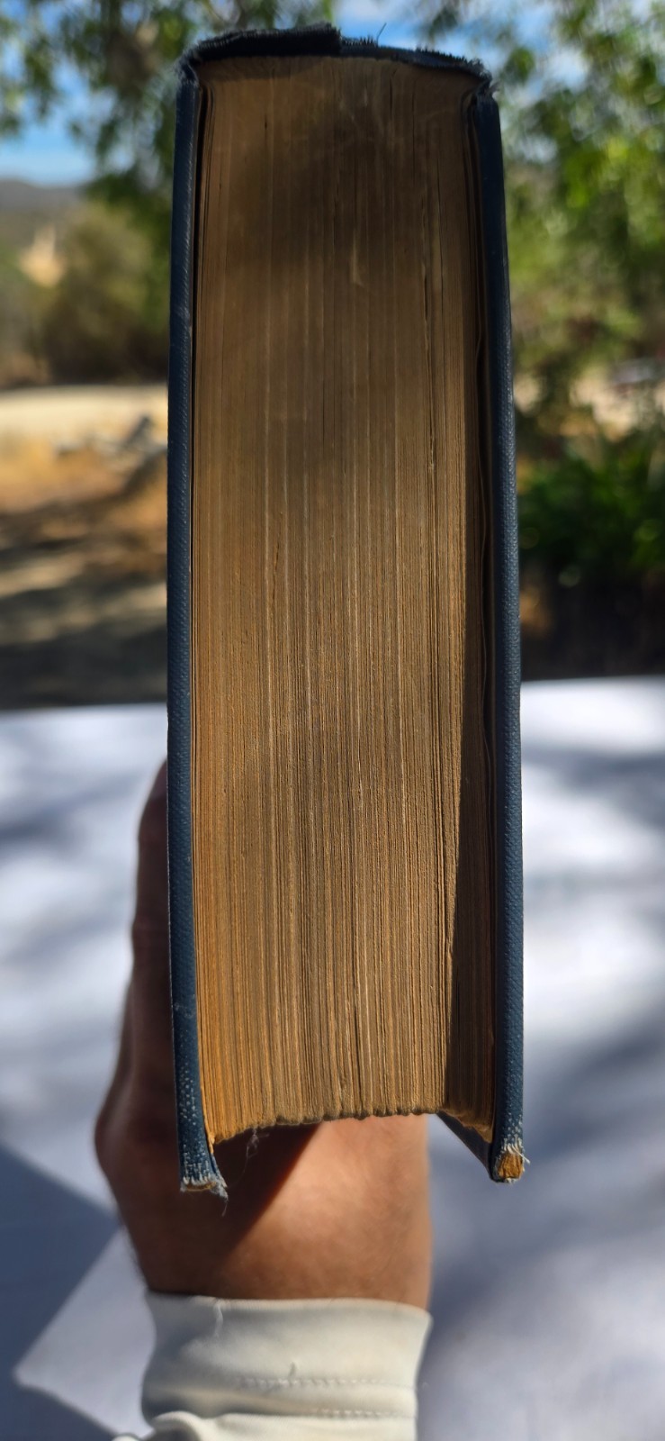 Henry Ward Beecher, An American Portrait Paxton Hibben George Doran 1927 HC ExLb