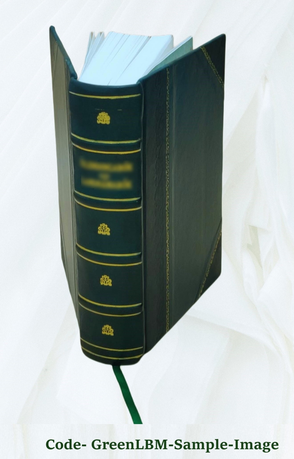 The Cave Temples Of India 1880 By James Fergusson, James Burgess [Leather Bound]