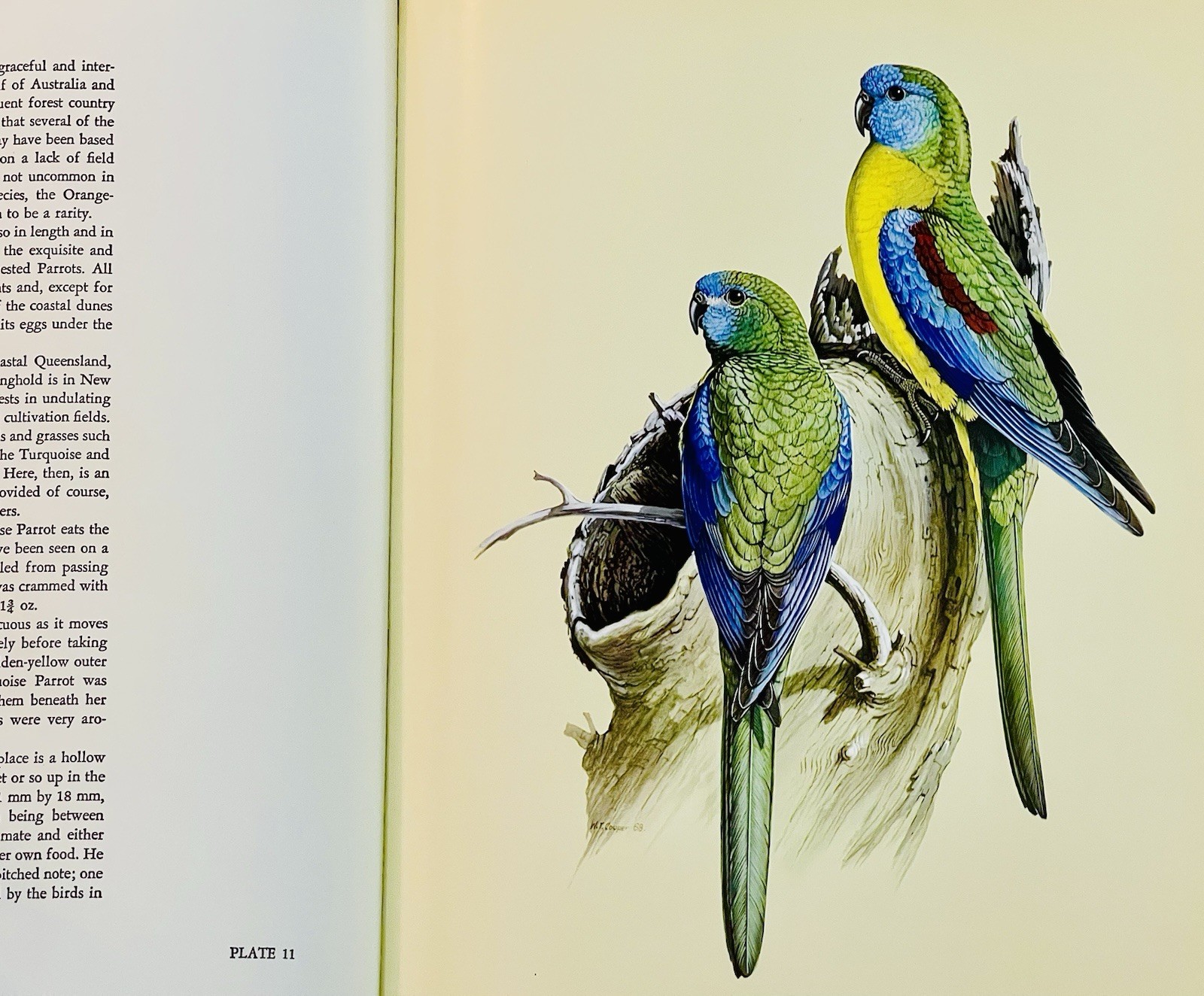 A Portfolio Of Australian Birds, Cooper & Hindwood-Folio