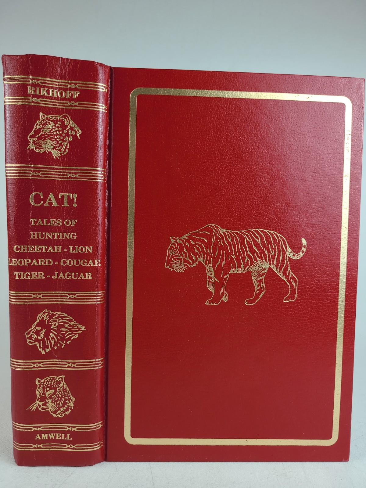 CAT! Tales Of Hunting Cheetah Lion Leopard Cougar Tiger Jaguar Jim Rikhoff 1990