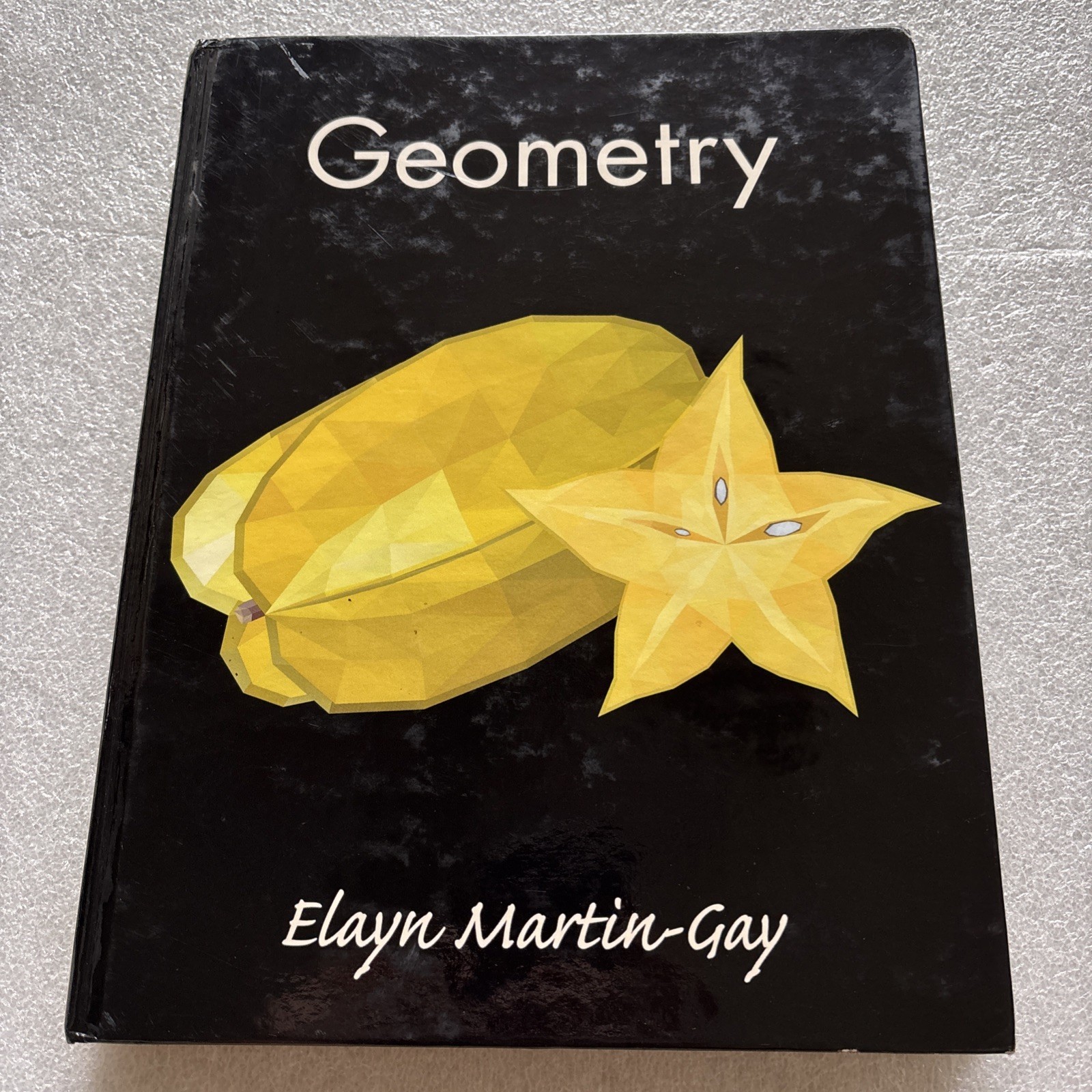 GEOMETRY by ELAYN MARTIN-GAY 2016 Hardcover (missing front endpapers, writing)