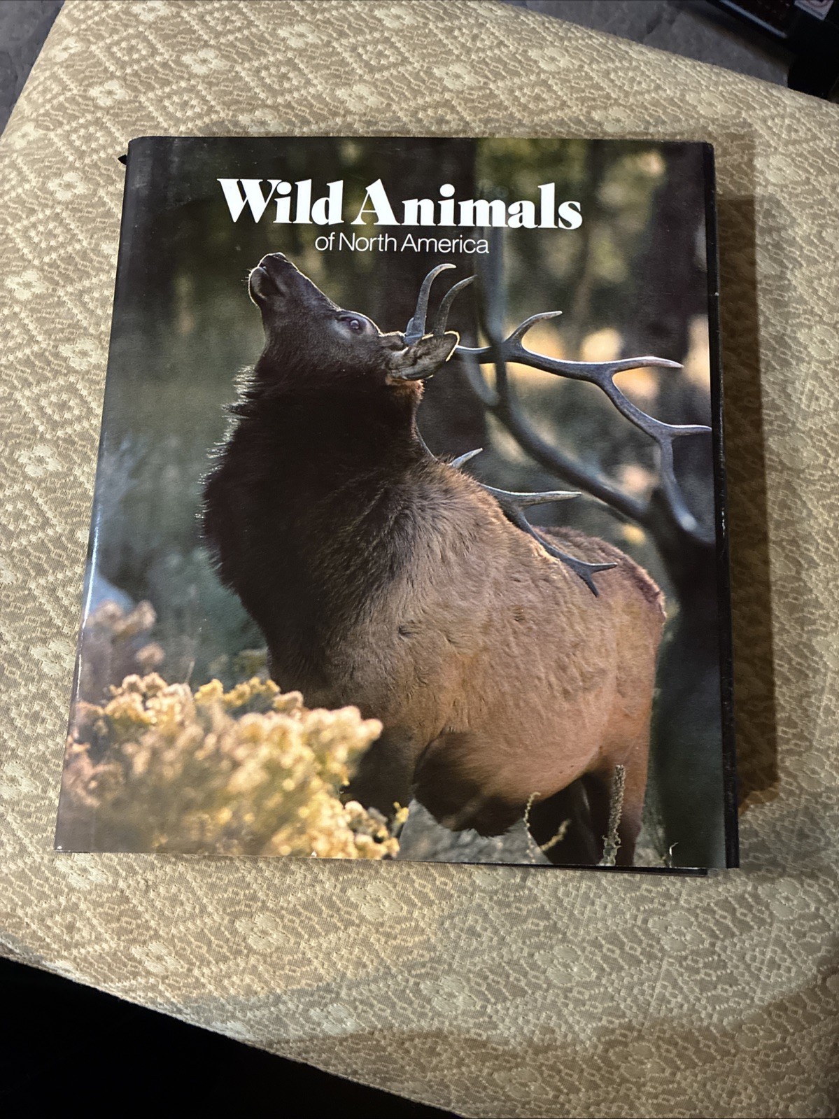 Wild Animals of North America National Geographic Soc