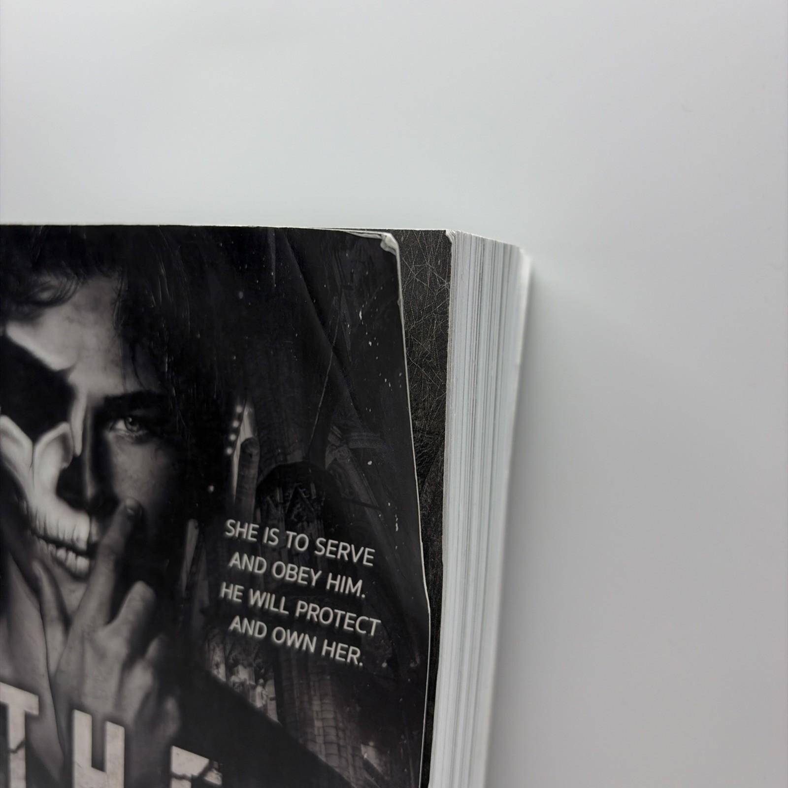 The Ritual : A Dark College Romance by Shantel Tessier (2021, Paperback)
