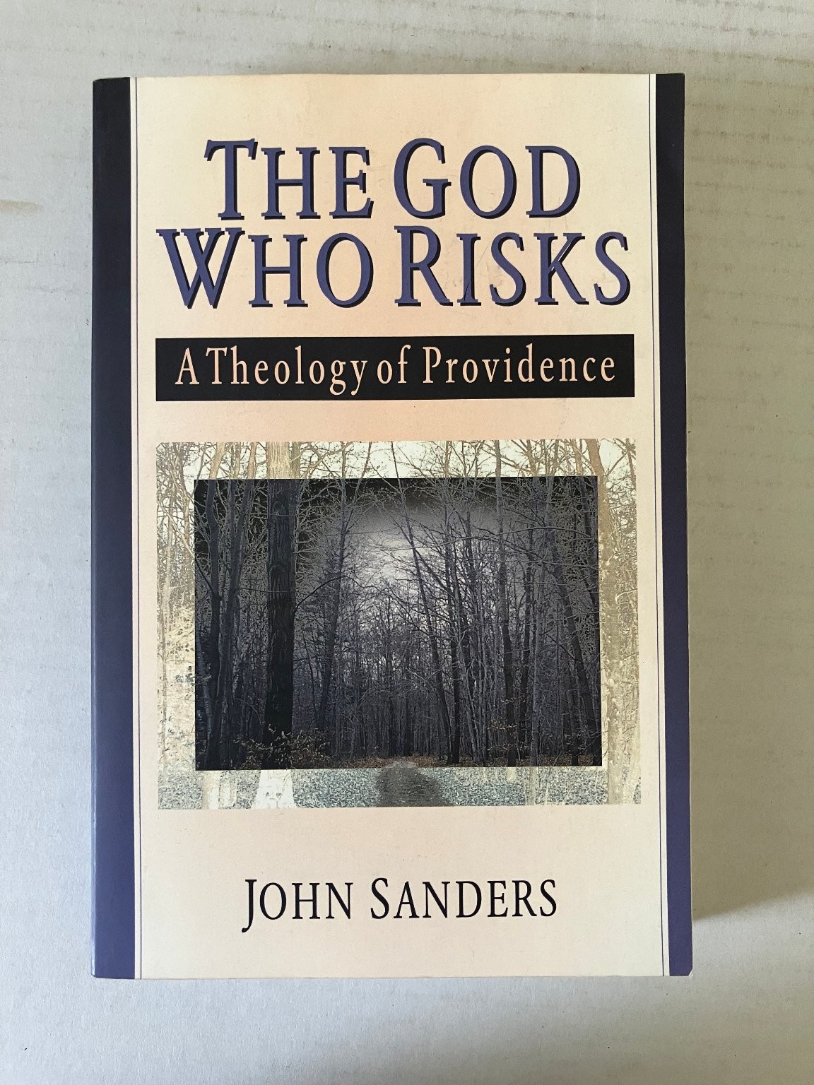 The God Who Risks John Sanders 1998 Theology of Providence InterVarsity Press