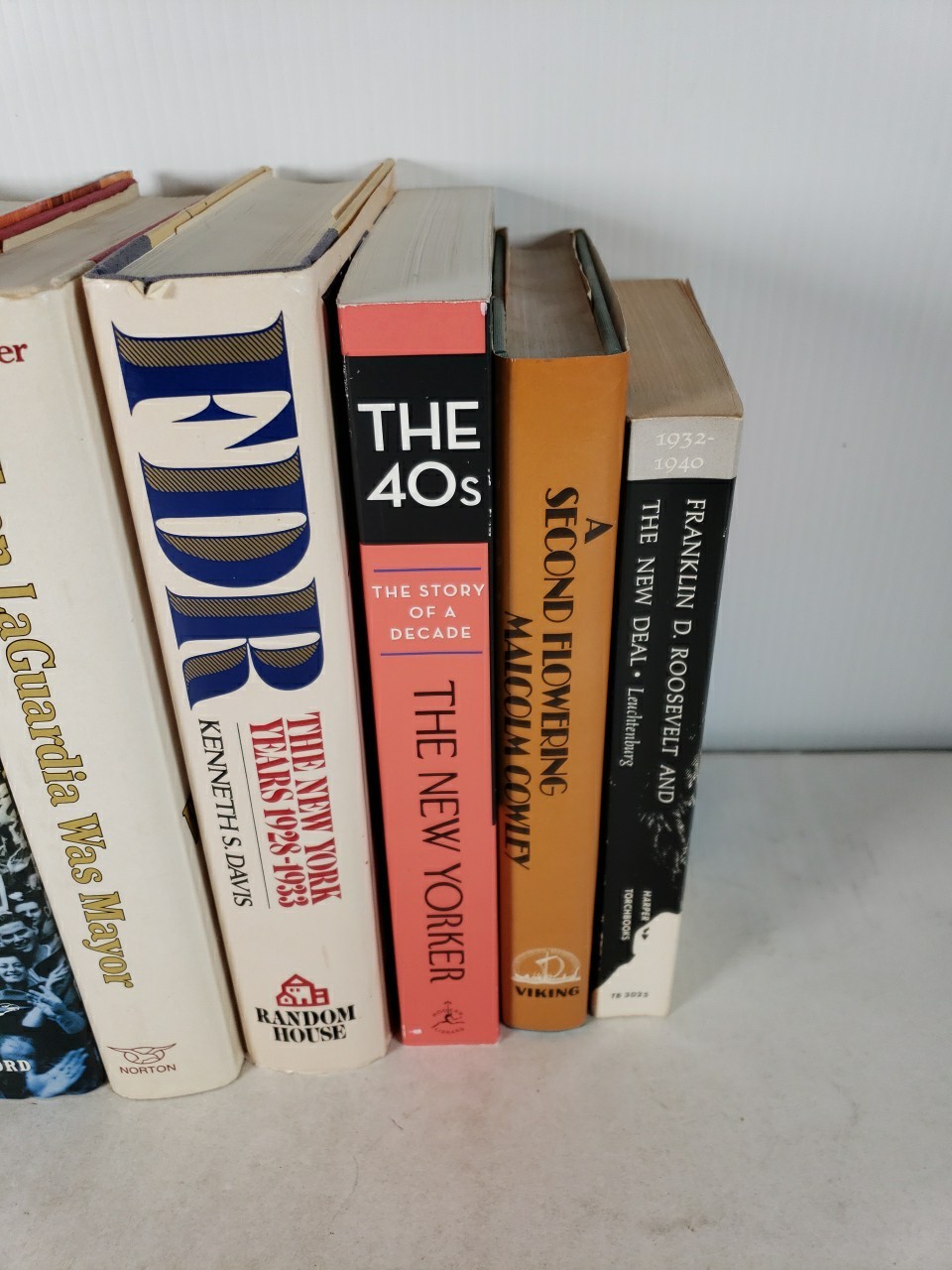 United States History 1920s through 1940s (6 Book Lot) Depression, FDR, New York