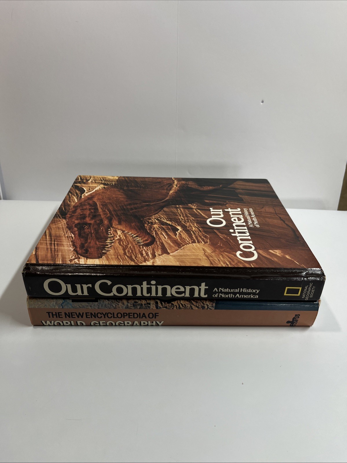 NATURAL SCIENCE LIBRARY: OUR CONTINENT: 1976, World Geography Encyclopedia 1976