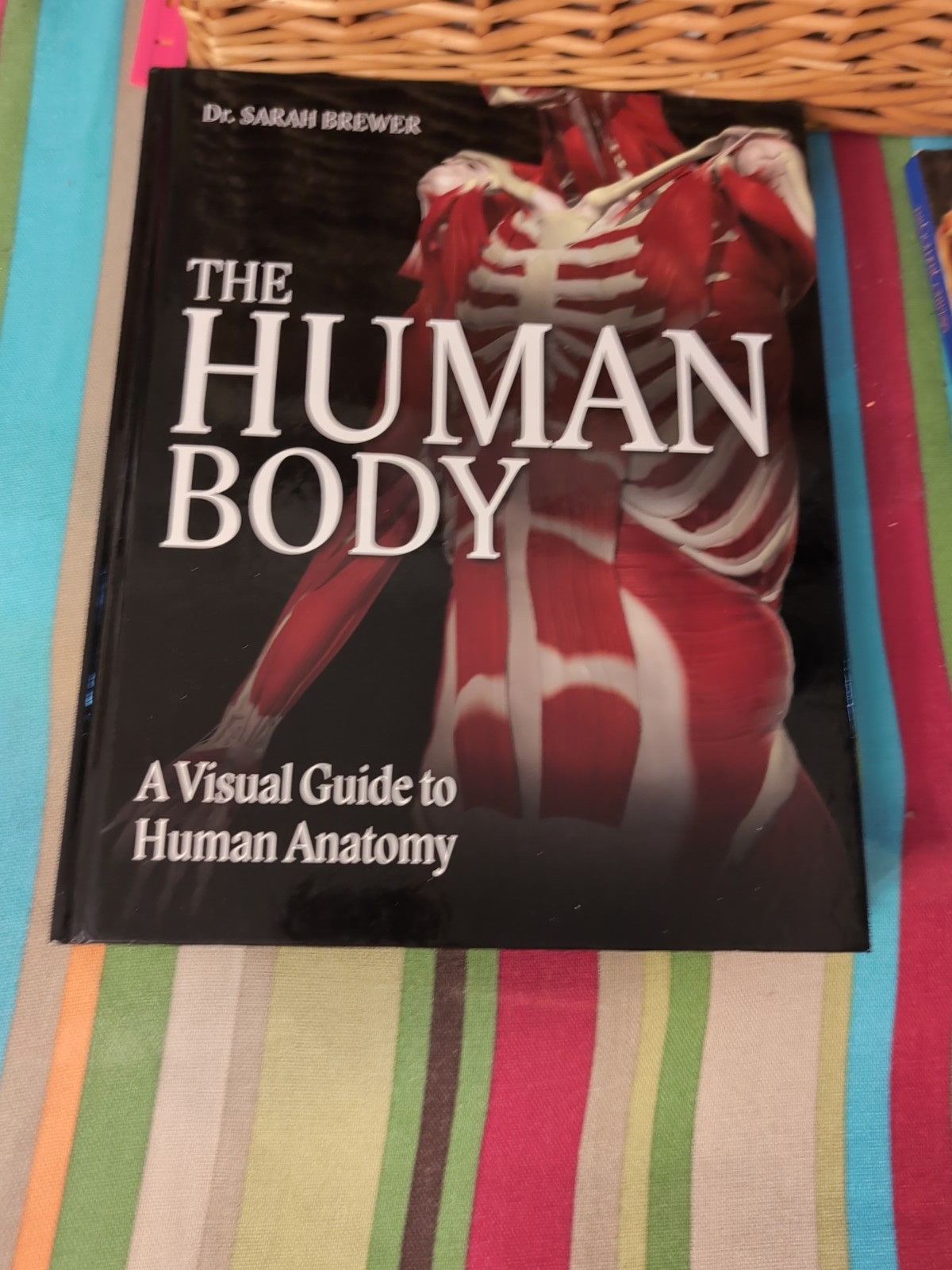 The Human Body: A Visual Guide to Human Anatomy by Dr. Sarah Brewer