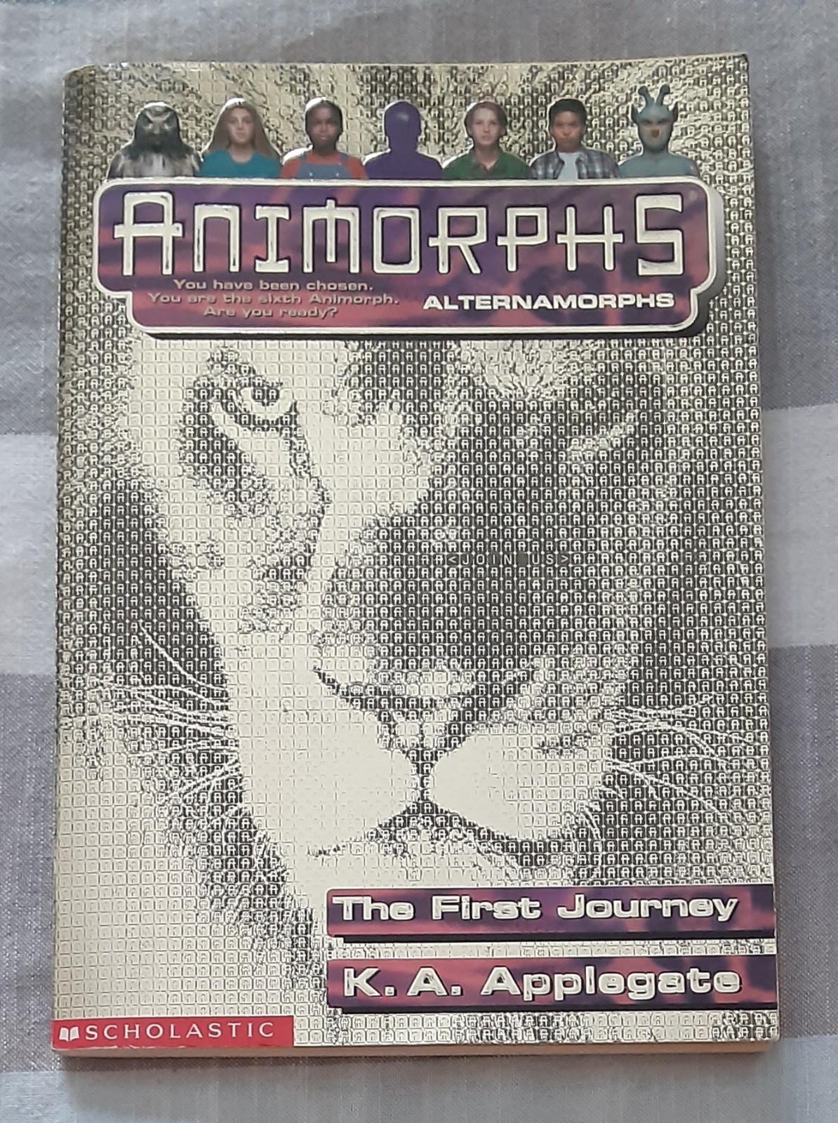 Animorphs Book Lot of 21 (K.A. Applegate, Paperback)