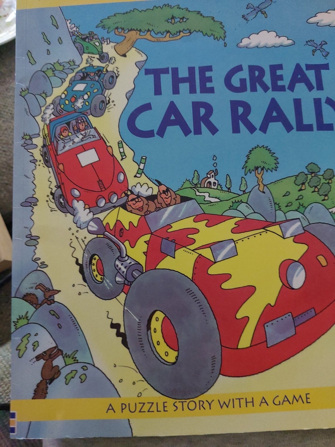 The Great Car Rally Usborne Picture Puzzles By Rosie Heywood Paperback
