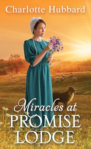Miracles at Promise Lodge – Mass Market Paperback – VERY GOOD