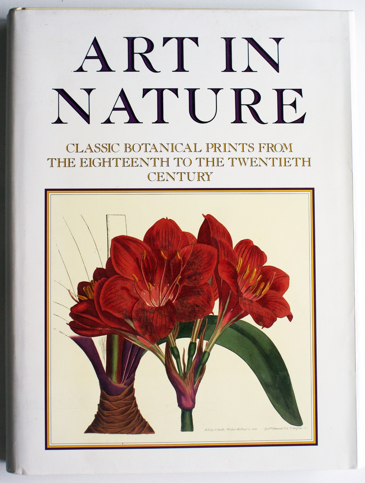 ART IN NATURE: Classical Botanical Prints from 18th to 20th Century HC DJ [285]