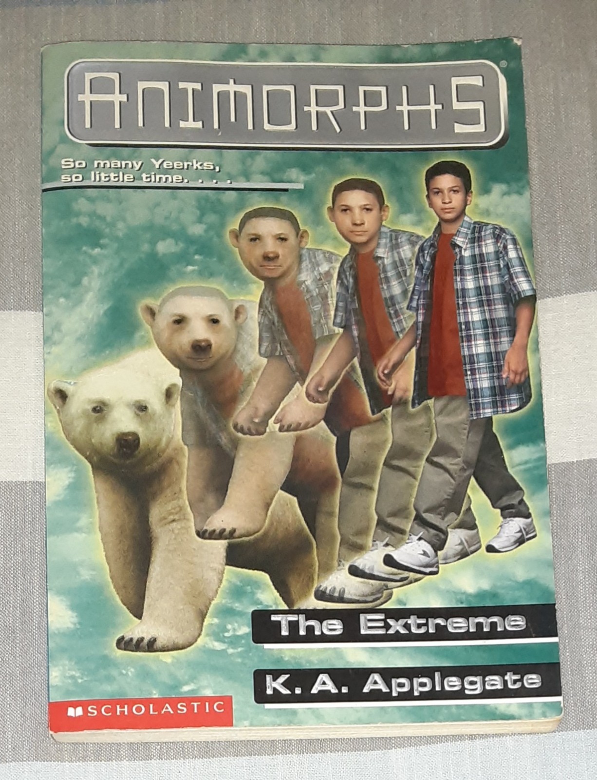 Animorphs Book Lot of 21 (K.A. Applegate, Paperback)