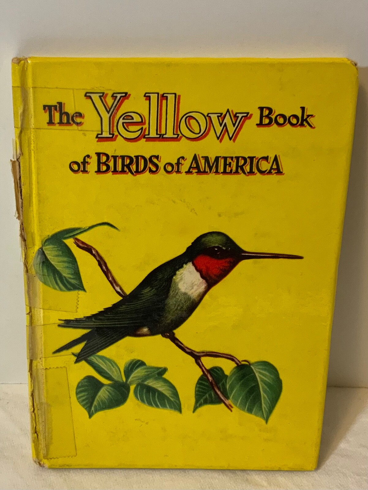 VTG 1954 The Yellow Book of Birds Of America Whitman Publishing 2978:25 HTF