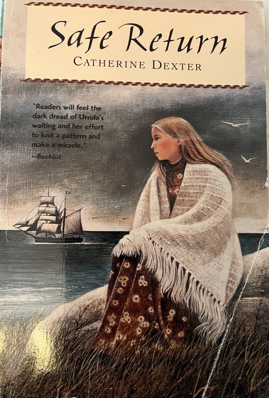 Safe Review by Catherine Dexter. Hard Cover. Very Good Condition