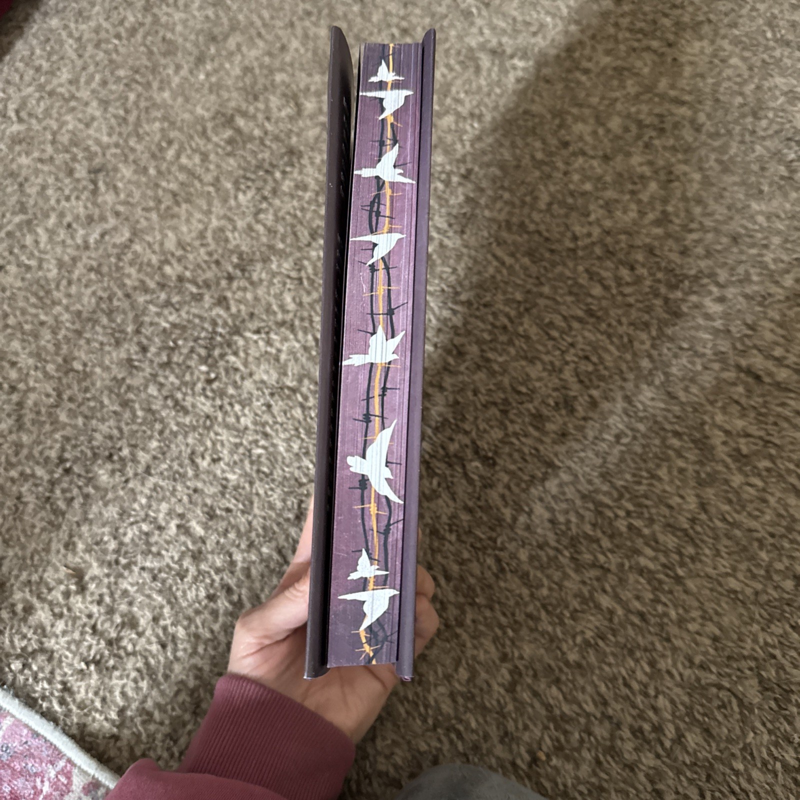 To Cage A Wild Bird By Brooke Fast Allurial Special Edition HardCover & Bookmark
