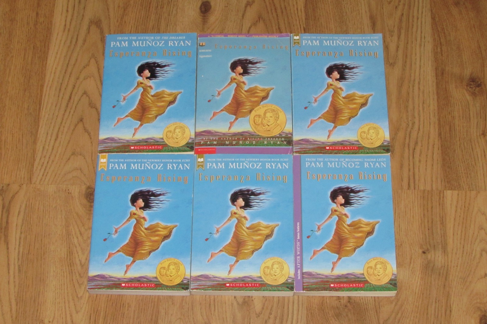 6 ESPERANZA RISING Pam Munoz Ryan GUIDED READING Book Lot
