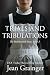 Trials and Tribulations: The Robinswood Story Book 3 Large Print