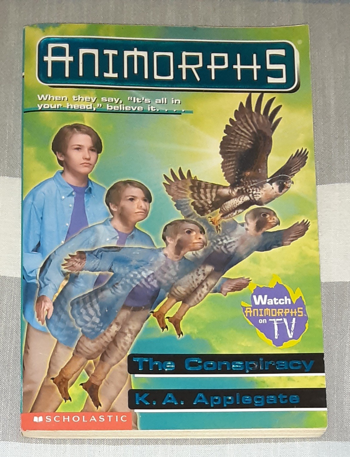 Animorphs Book Lot of 21 (K.A. Applegate, Paperback)