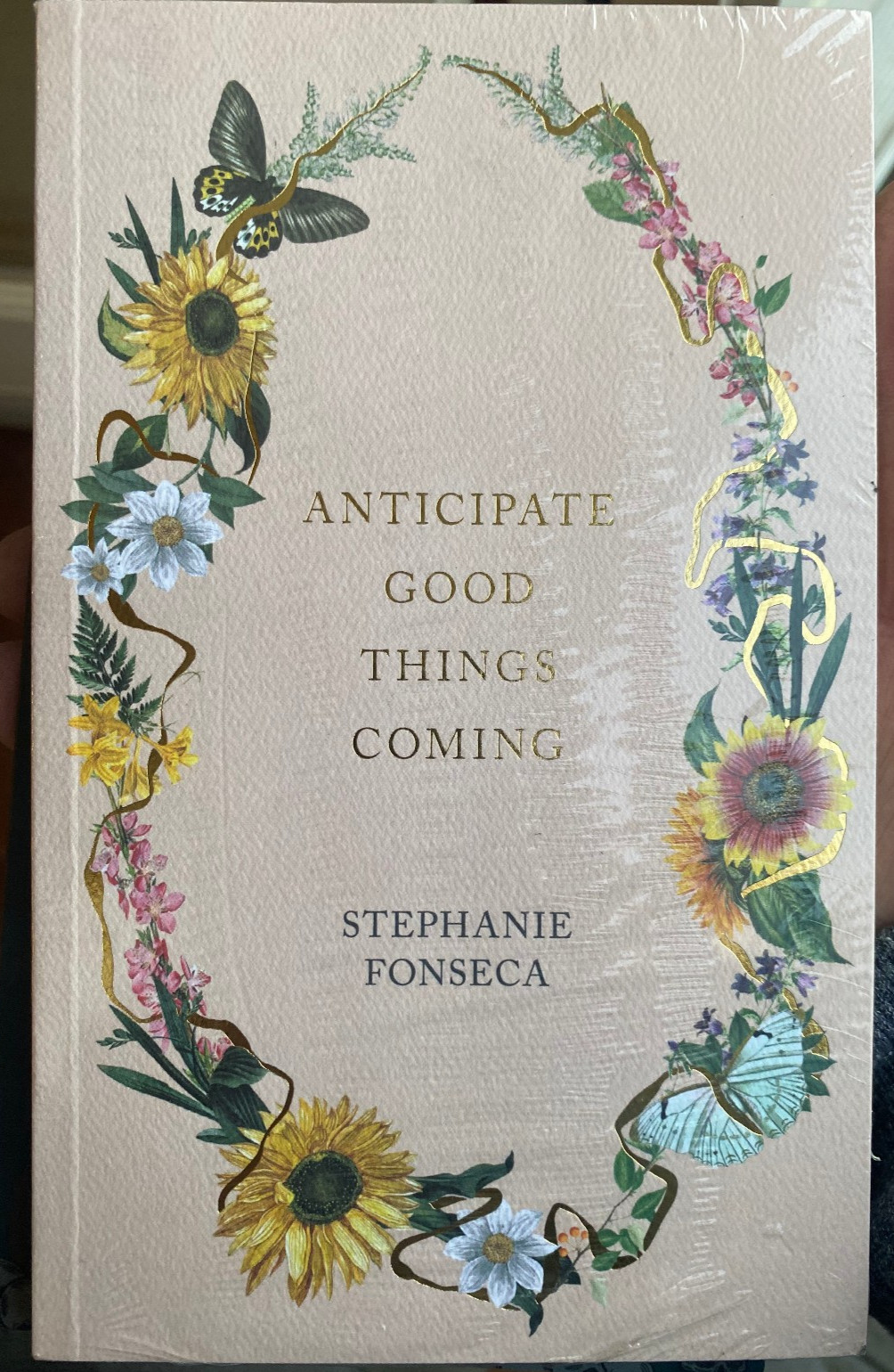 Anticipate Good Things Coming – Perfect Paperback By Stephanie Fonseca BRAND NEW