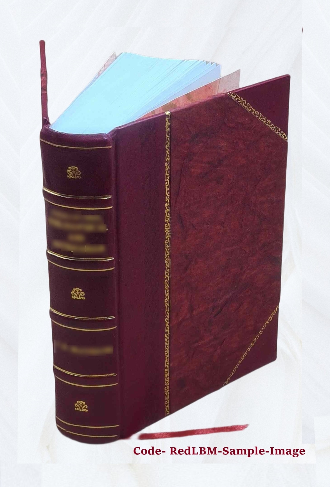The Cave Temples Of India 1880 By James Fergusson, James Burgess [Leather Bound]