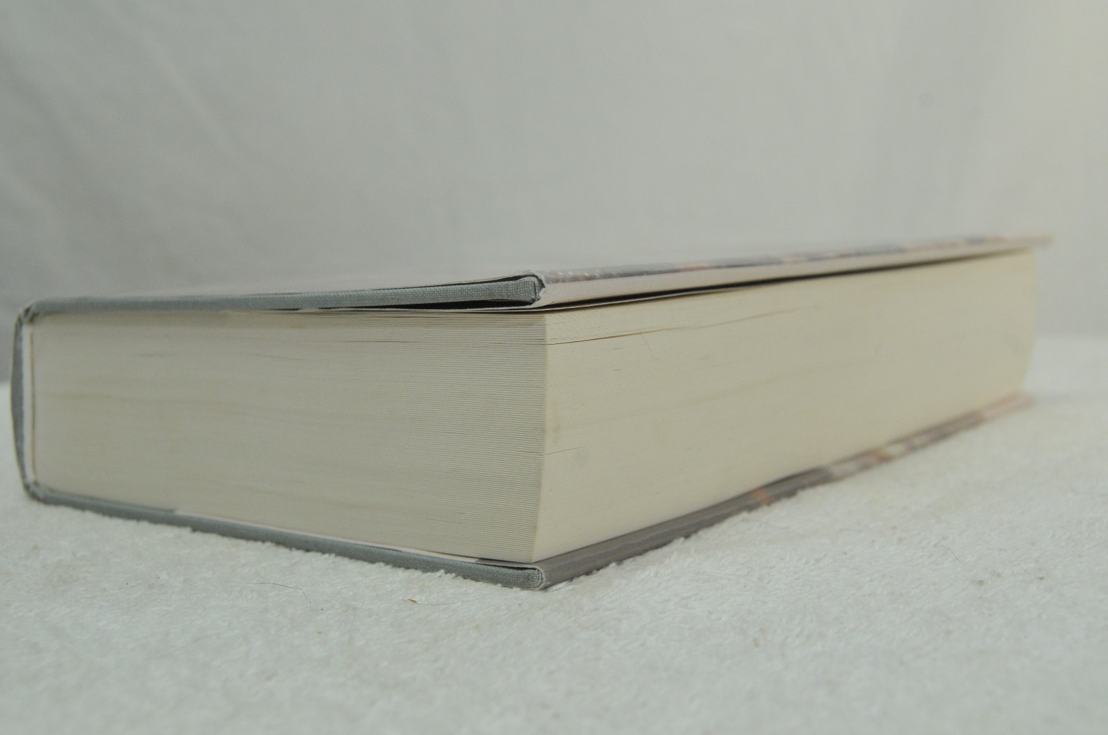 George D N Coletti / Stone Mountain The Granite Sentinel Signed 2009 Civil War