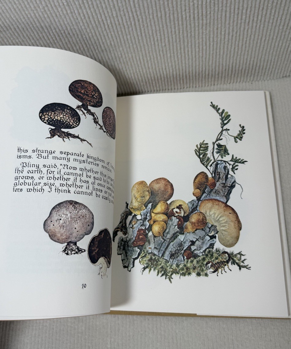 Mushrooms A Separate Kingdom Signed Loni Parker & David Jenkins Hardcover 1979