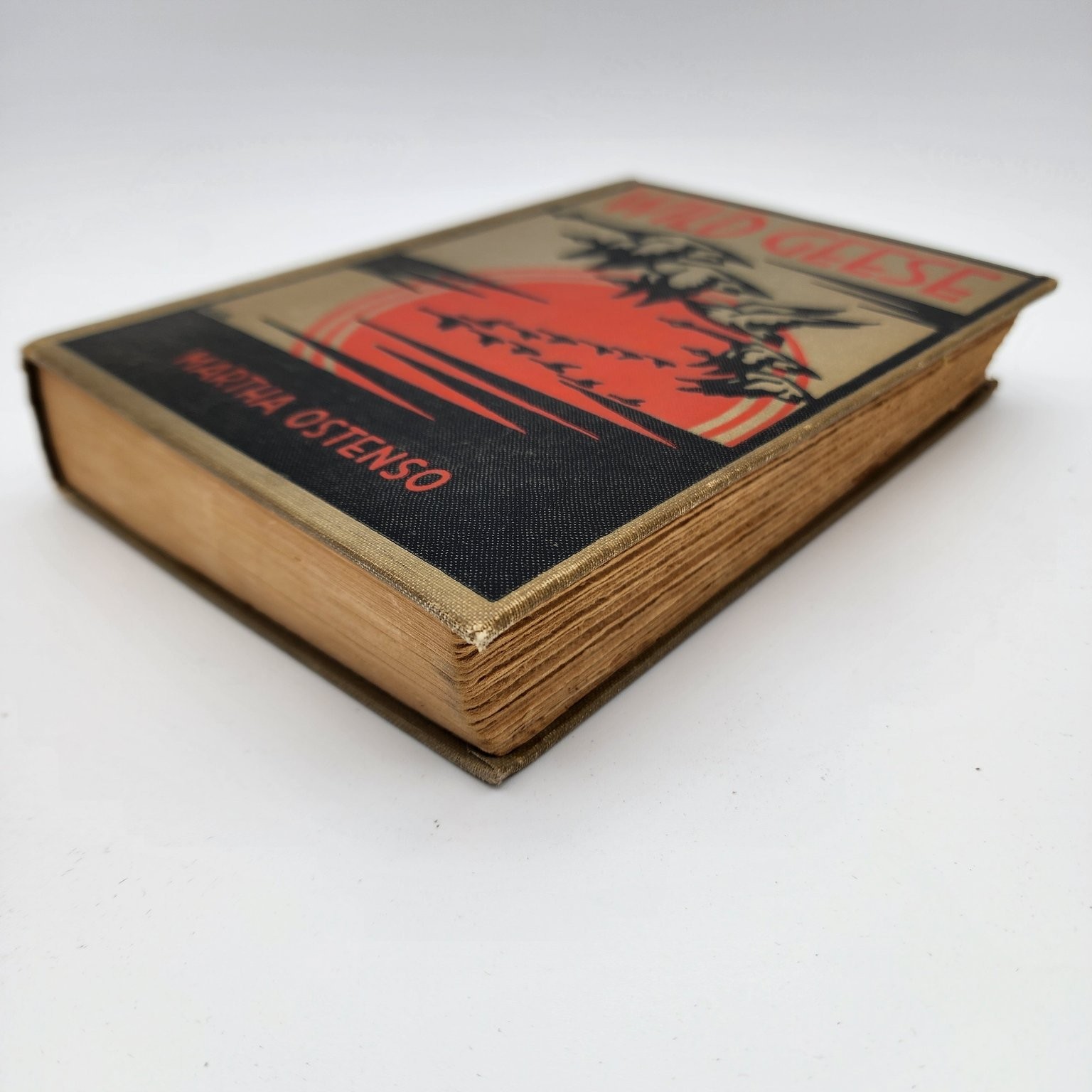 Wild Geese Martha Ostenso 1925 First Edition Literary Fiction Dodd Mead