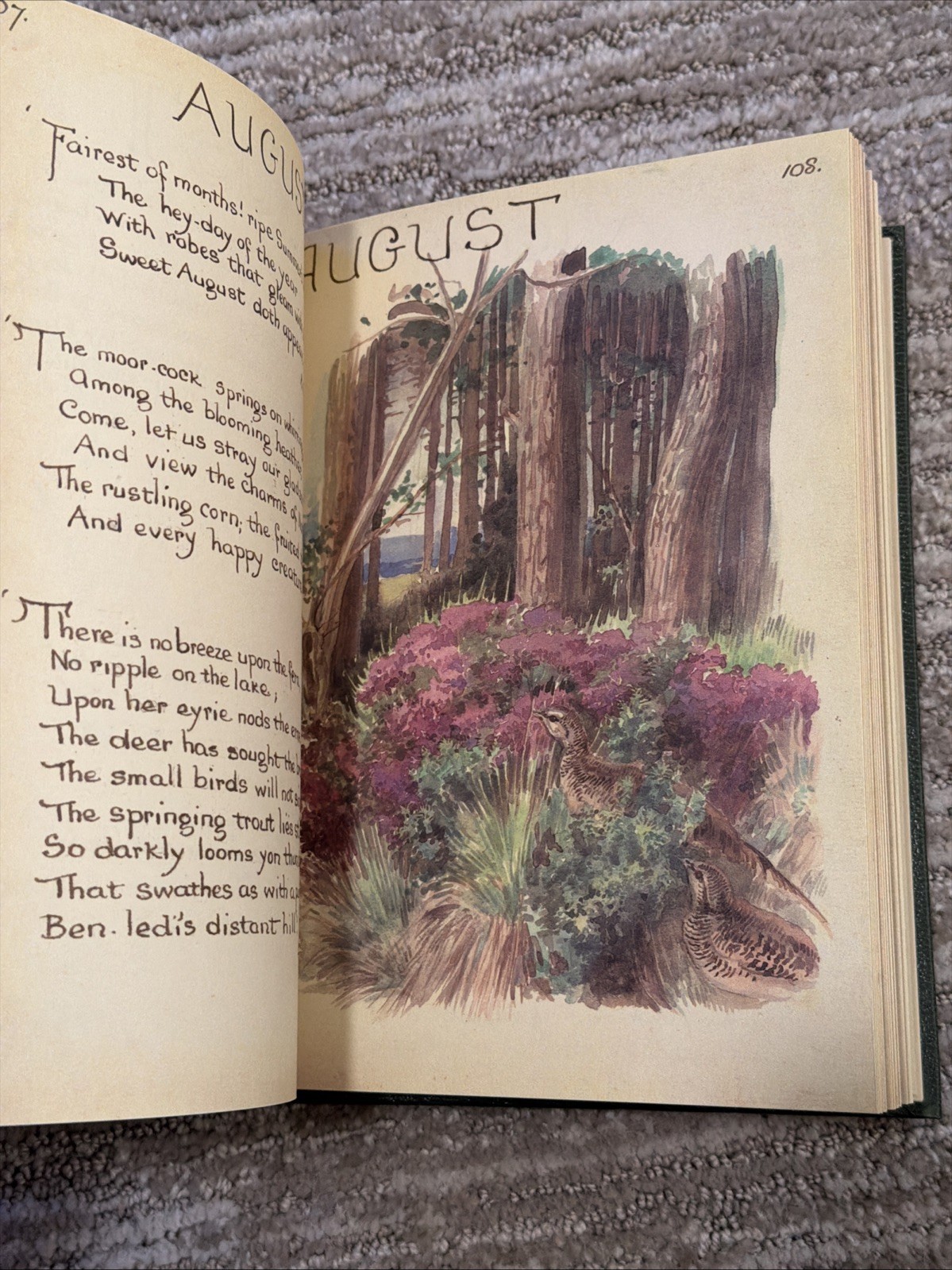 The Country Diary of an Edwardian Lady by Edith Holden – Hardcover Book 1977