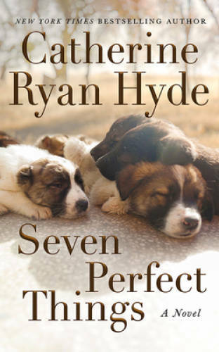 Seven Perfect Things: A Novel – Paperback By Hyde, Catherine Ryan – VERY GOOD