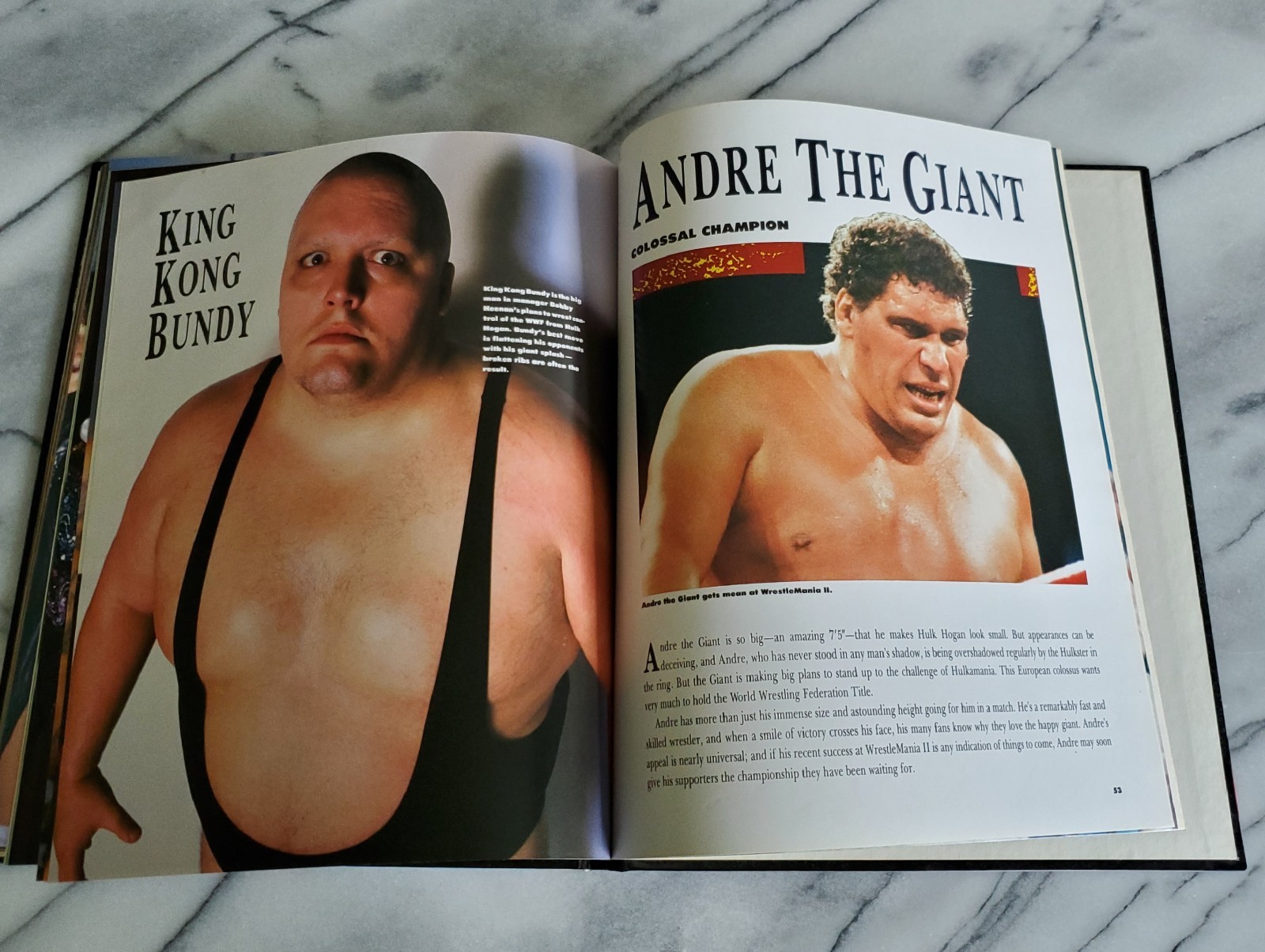 WRESTLING : THE GREATEST STARS 1987 HC Book Hulk Hogan Dusty Rhodes Rick Flair