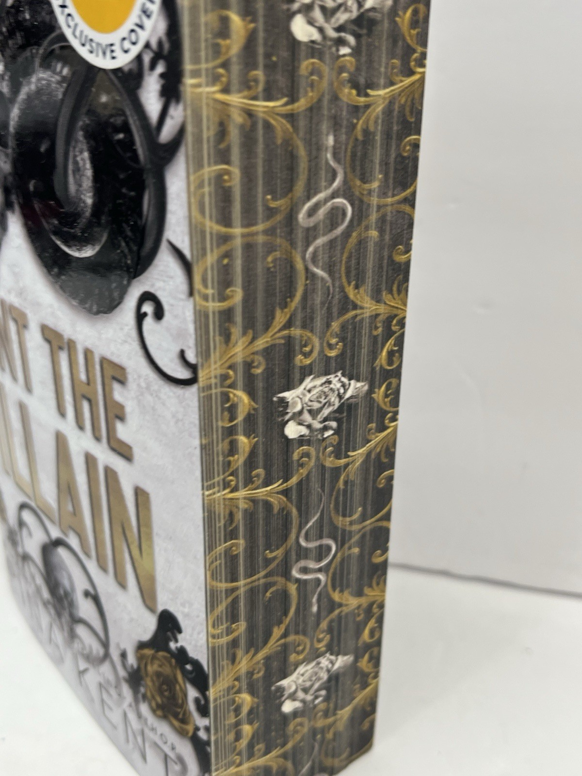 Hunt the Villain (Walmart Exclusive Edition) By Rina Kent Printed Pages