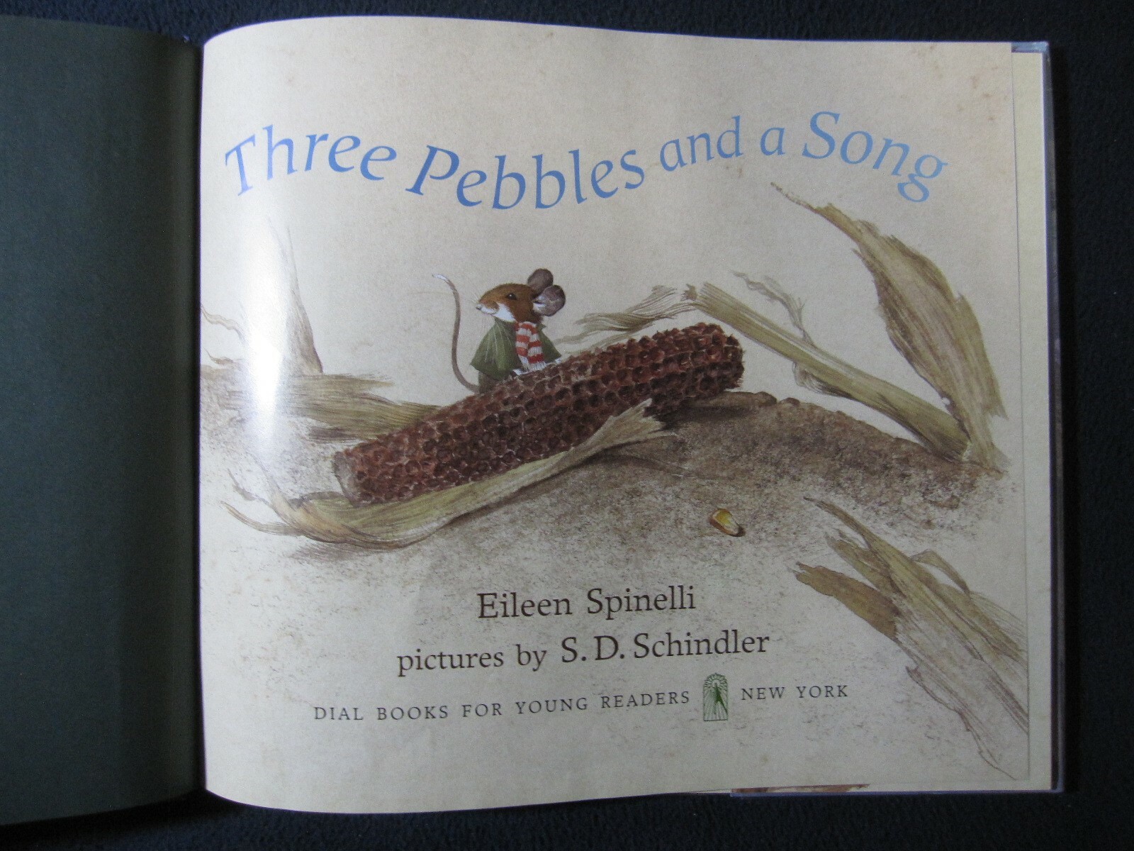 Three Pebbles and A Song [Hardcover] Spinelli, Eileen and Schindler, S. D.
