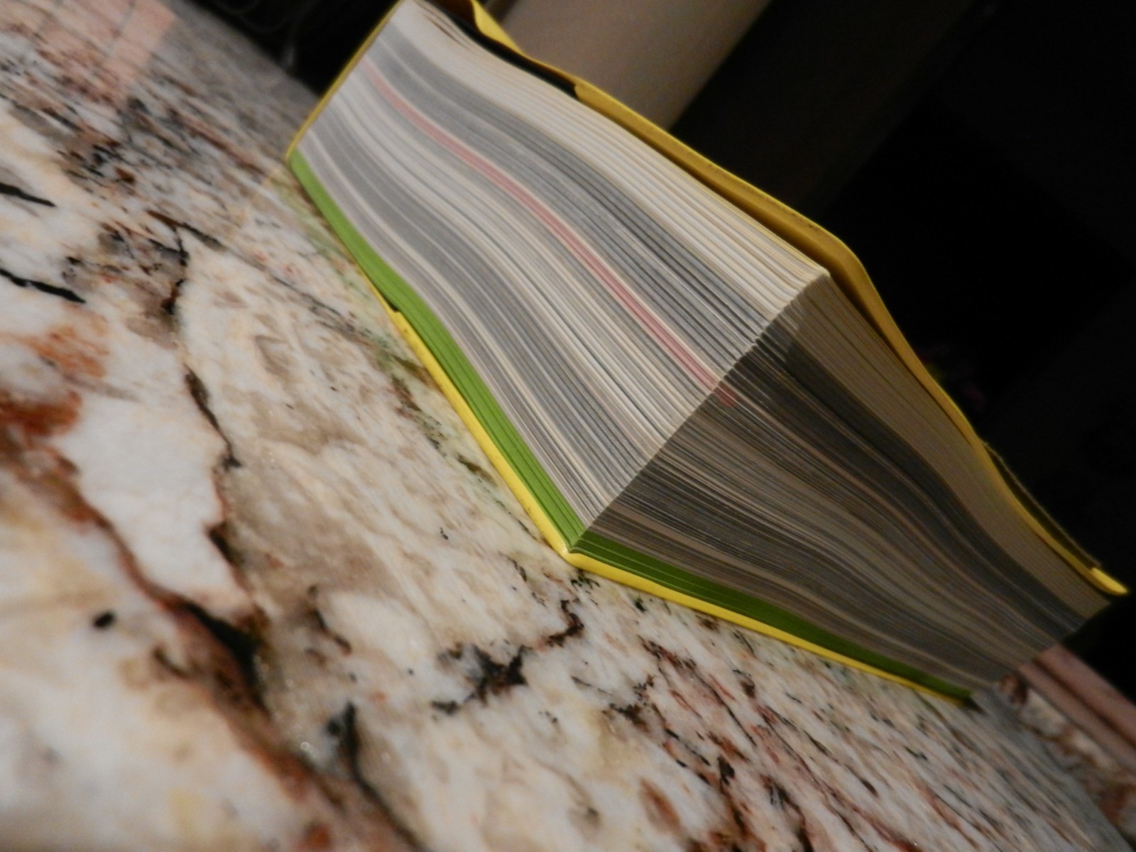 MUTATIONS 2003 REM KOOLHAAS ‘hard’ softcover book Architecture Environment — A+