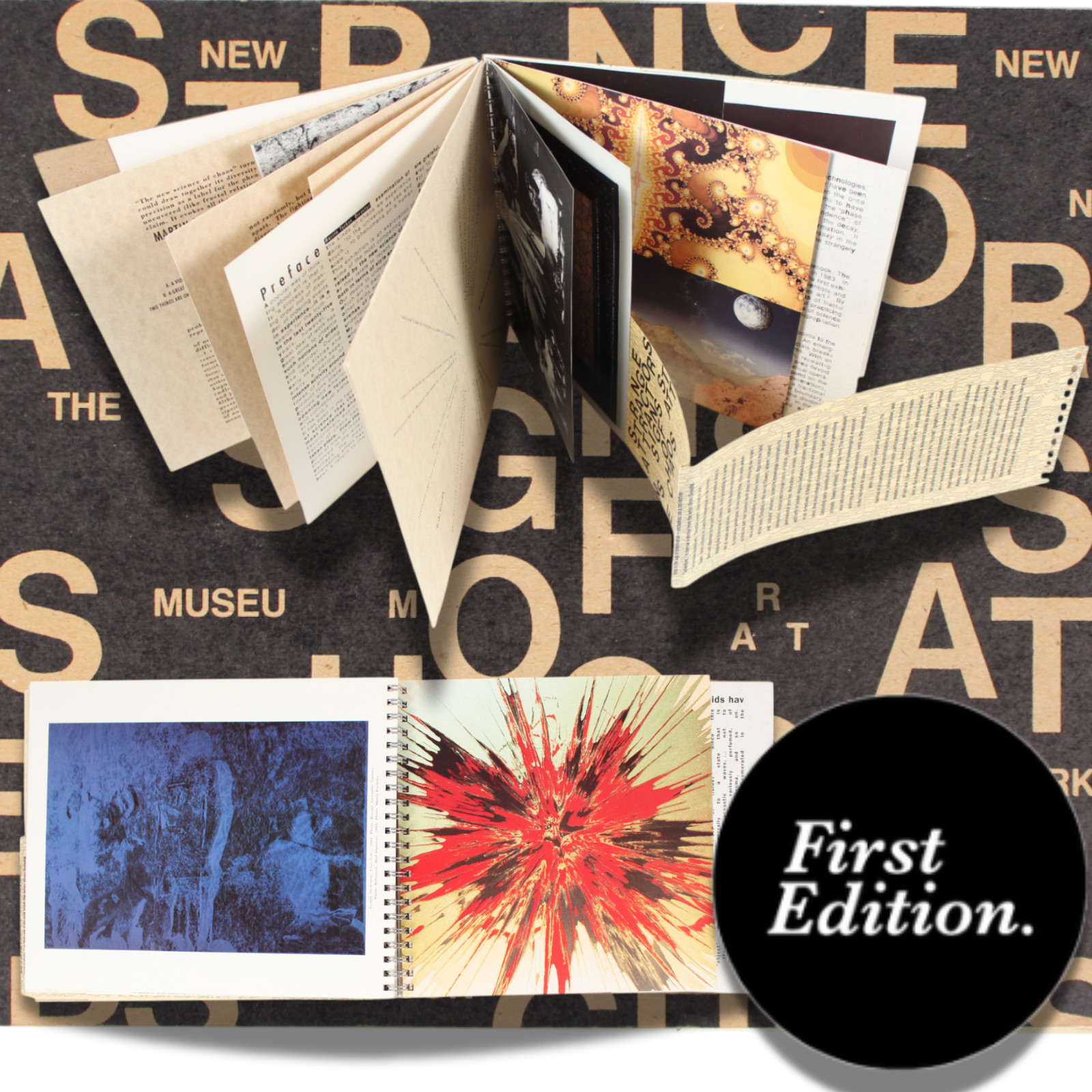 NEW MUSEUM NYC Chaos Theory Exhibition 1989 Strange Attractors Experimental Art