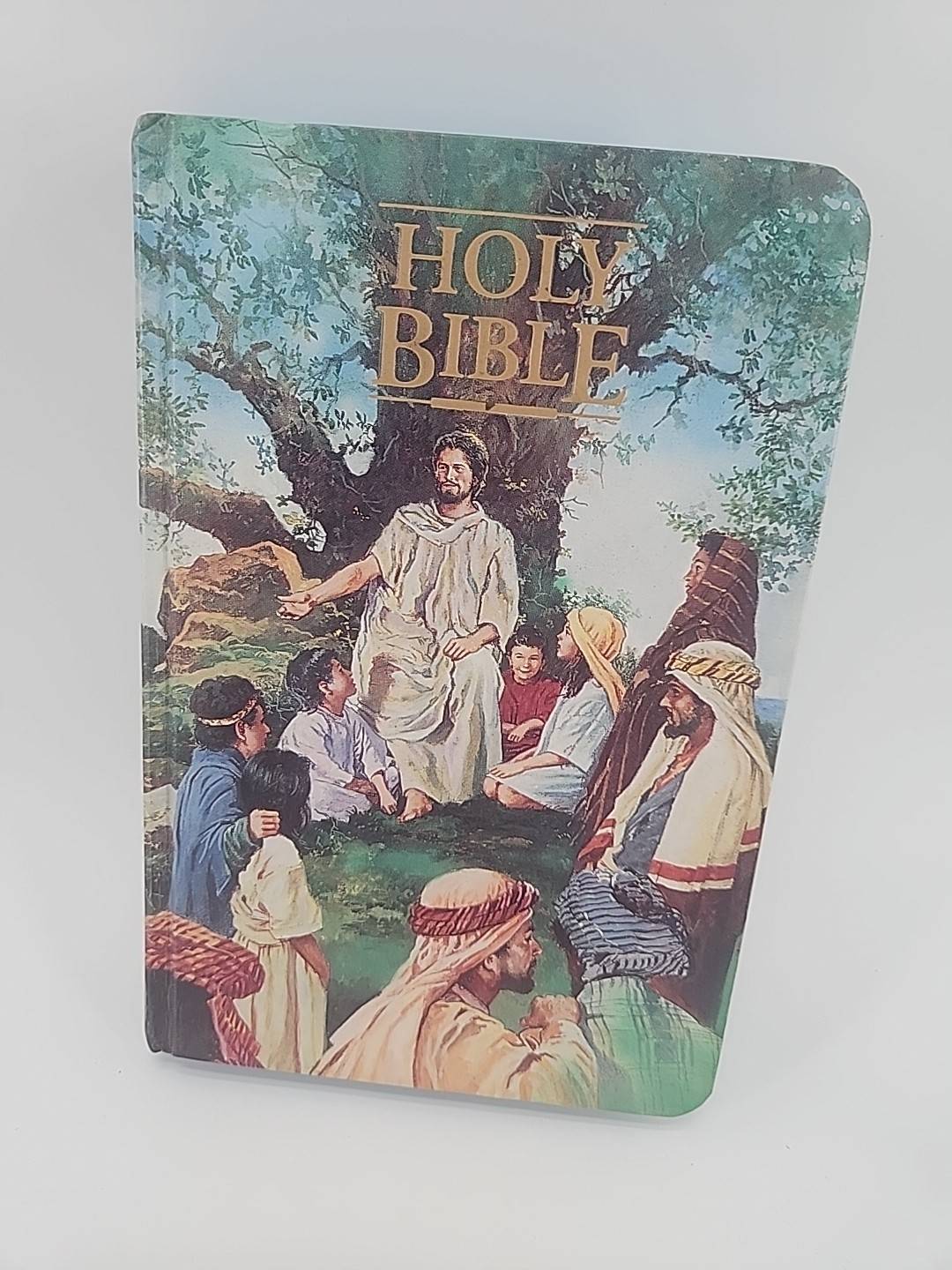 Seaside Bible – Hardcover By Thomas Nelson – GOOD