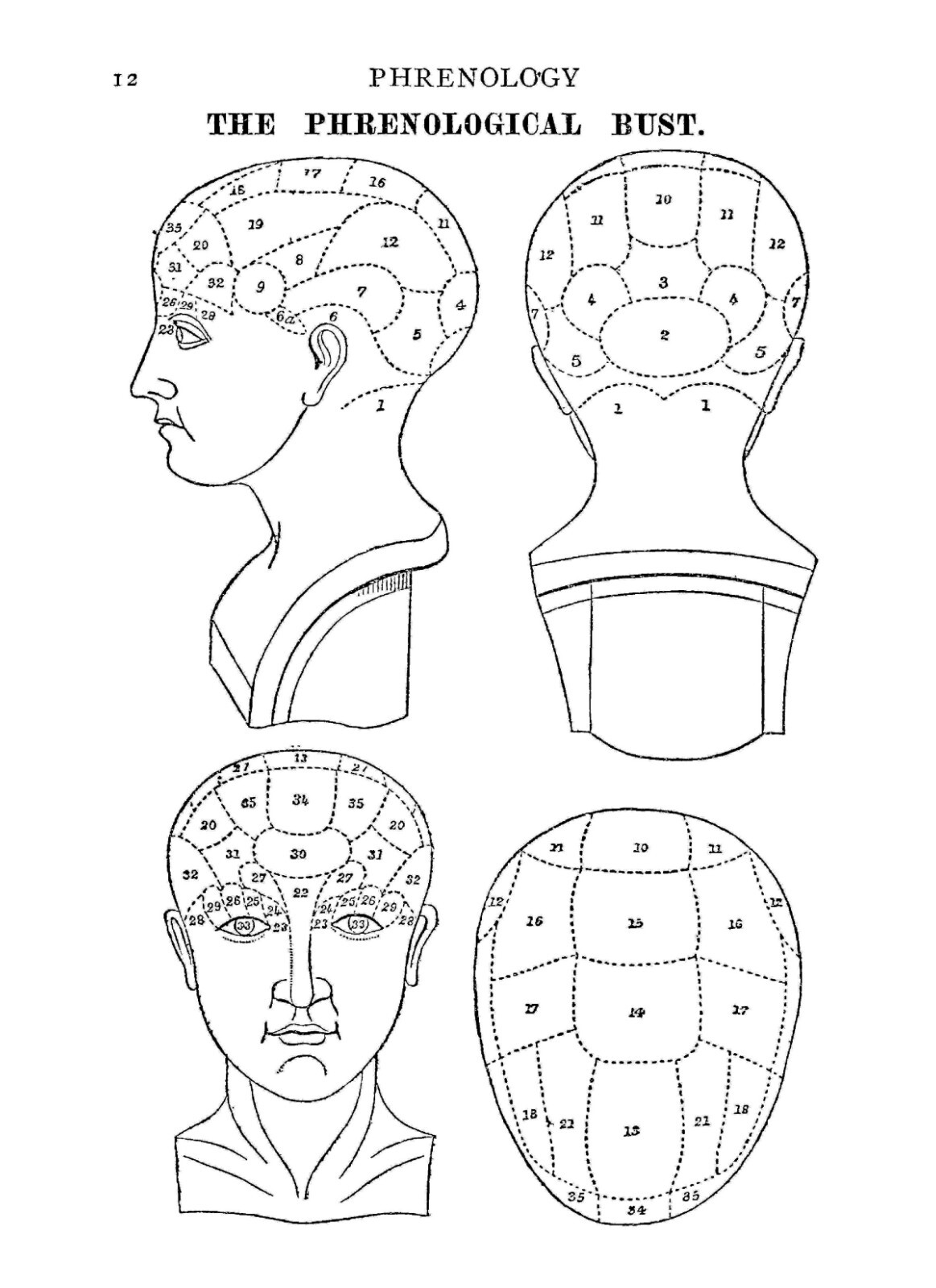 Phrenology How to Read The Head “1891” 67 Pages