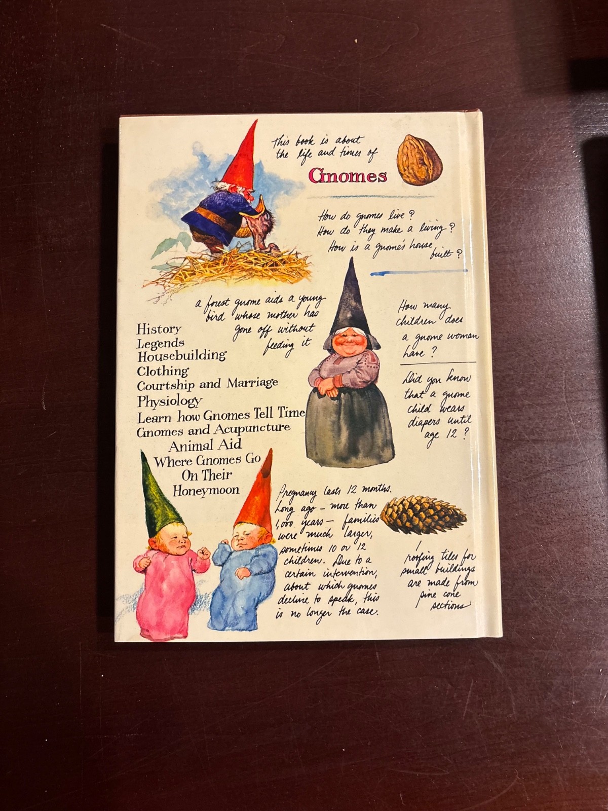 GNOMES – Wil Huygen & Rien Poortvliet / VTG HCDJ 1977