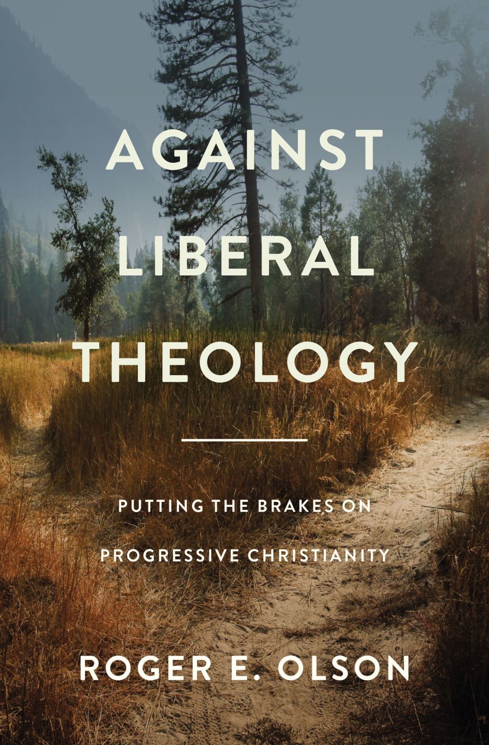 Against Liberal Theology: Putting the Brakes on Progressive Christianity .. NEW