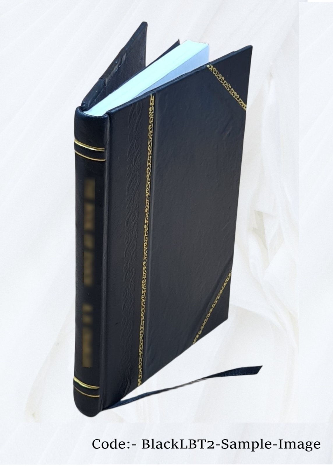 Egyptian Hieratic Texts, Transcribed 1911 [Leather Bound]