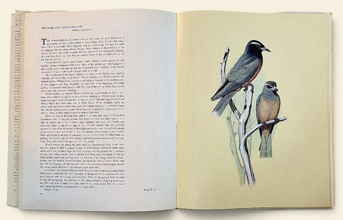 A Portfolio Of Australian Birds, Cooper & Hindwood-Folio