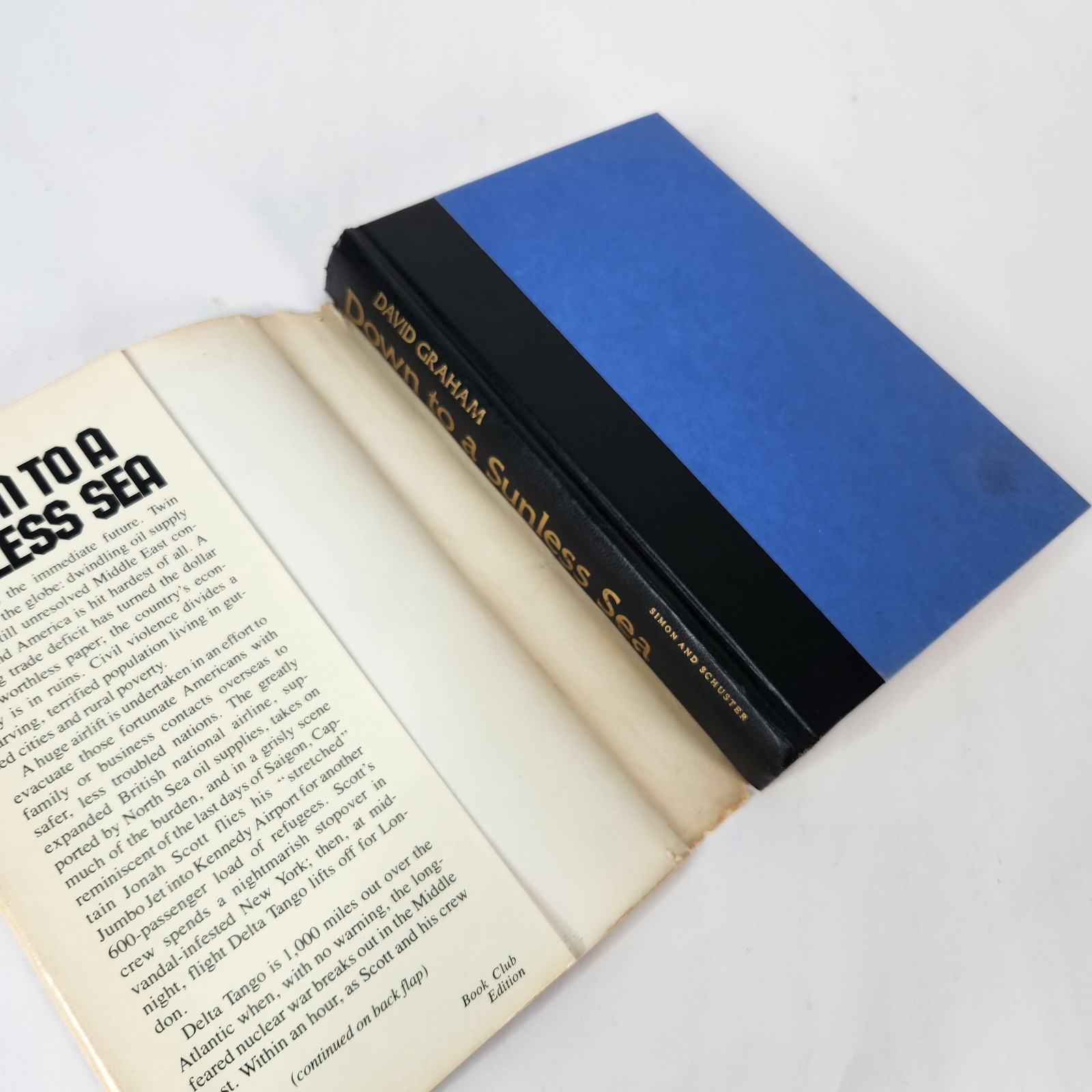 Down to a Sunless Sea by David Graham Hardcover Dustjacket vintage 1981 BCE