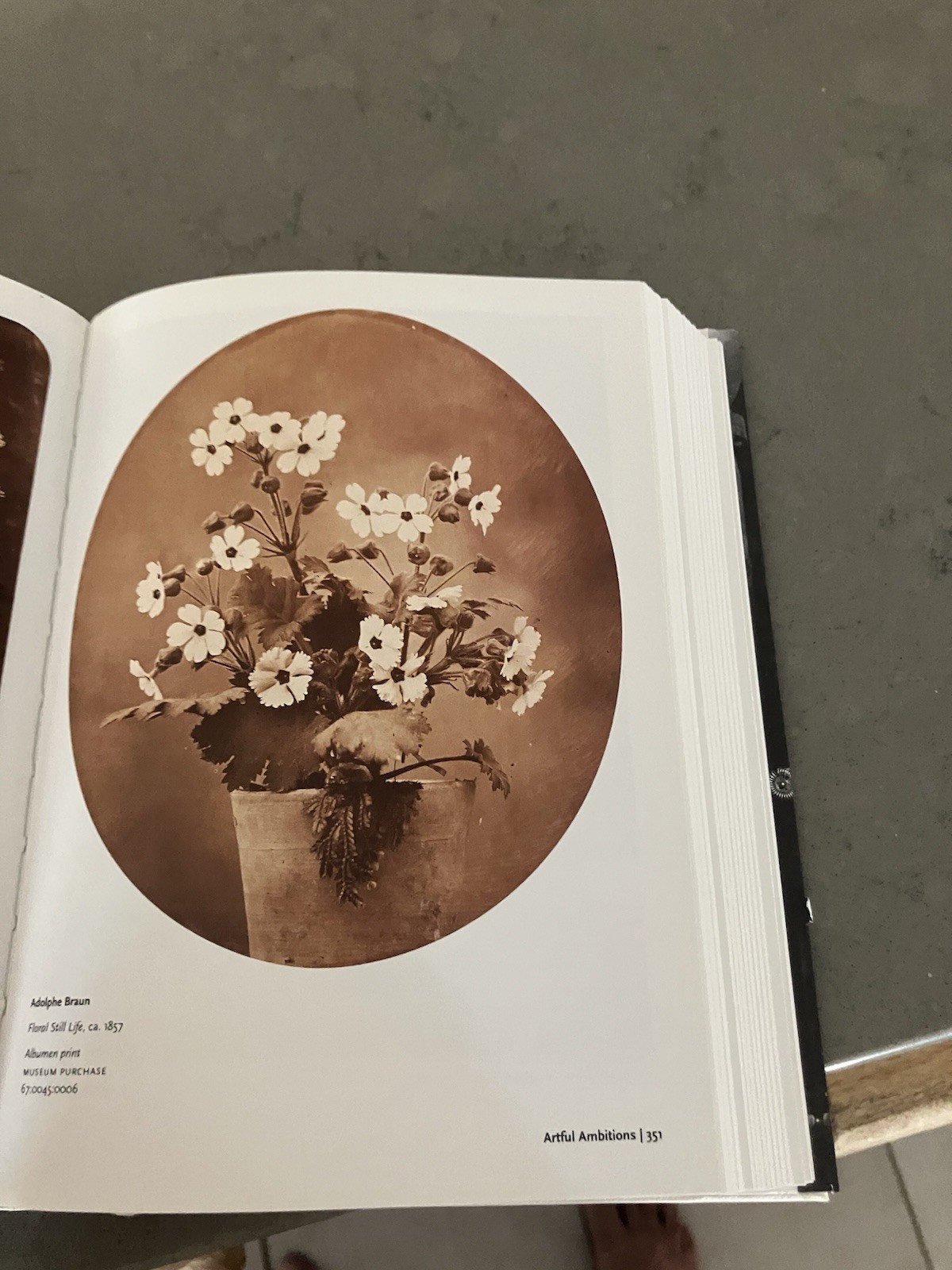 History of Photography. from 1839 to the Present by Taschen (2012, Hardcover)