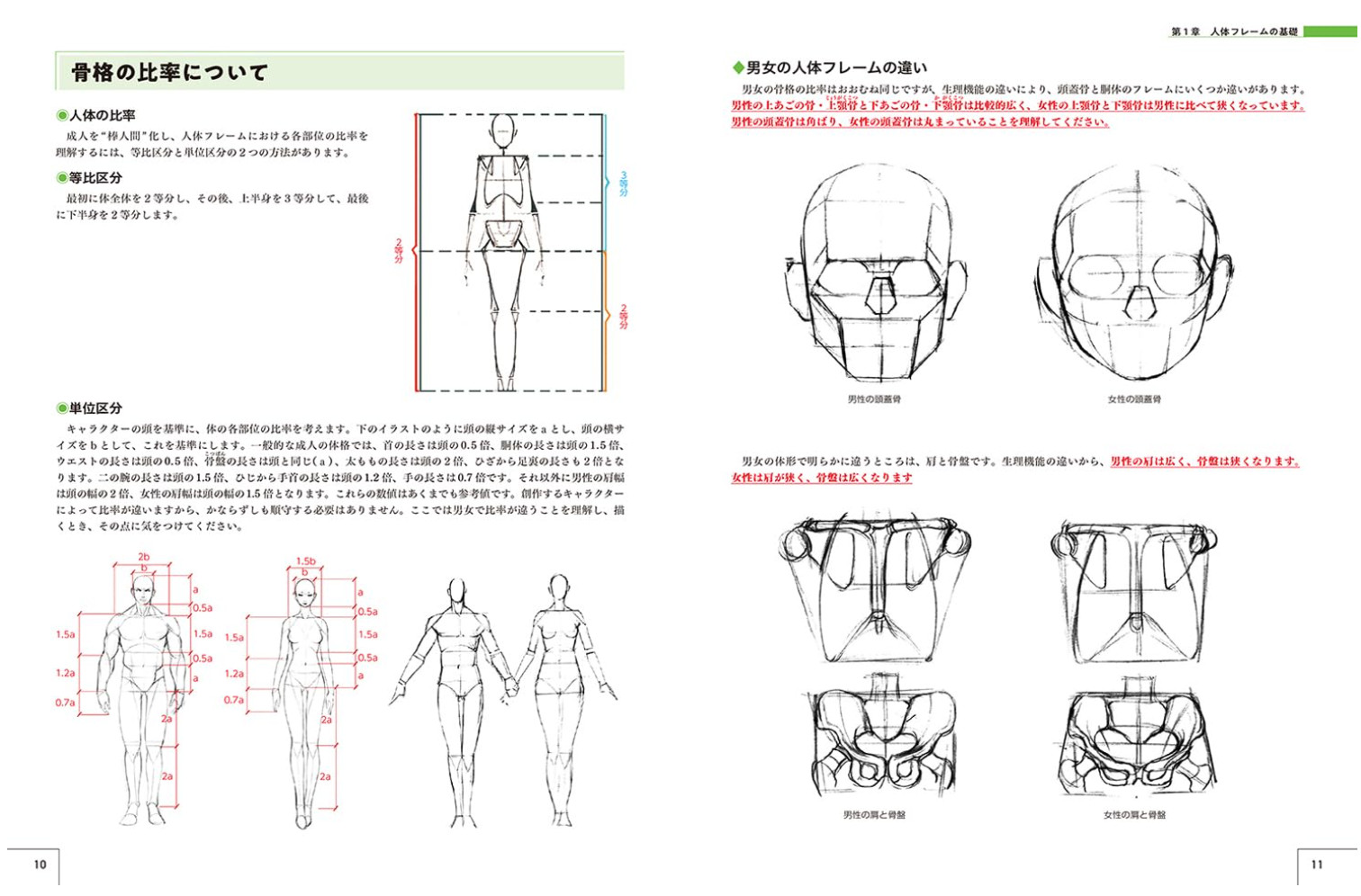 Master Guide to Drawing the Human Body – Character Drawing from the Basics #1434